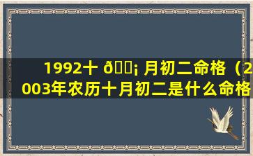 1992十 🐡 月初二命格（2003年农历十月初二是什么命格）